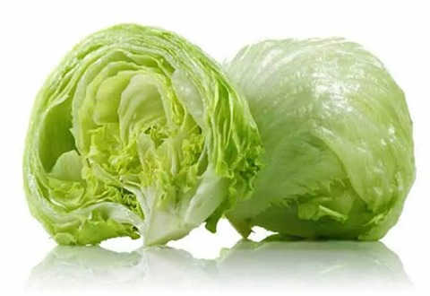 قیمت و خرید کاهو آیسبرگ صادراتی + فروش ویژه